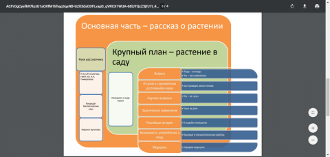 презентация