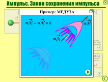 Пример: Медуза